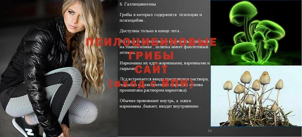 mix Магас
