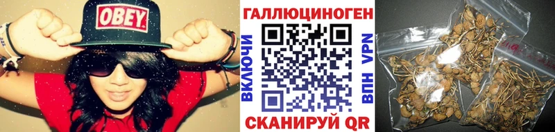 Галлюциногенные грибы Psilocybine cubensis  Купить где  Стрежевой 